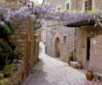 Valldemossa: Discover Valldemossa with a transfer from Palma