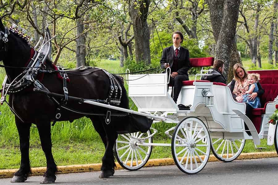 NYC Private Central Park Pferdekutschenfahrt mit Guide