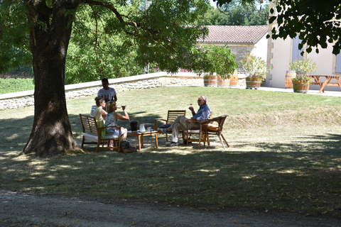 De Bordeaux: visite privée des vins de Saint-Emilion