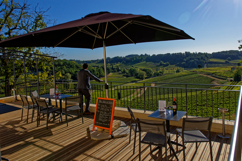 De Bordeaux: visite privée des vins de Saint-Emilion