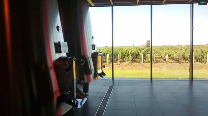 From Bordeaux: Saint-Emilion Private Wine Tour | GetYourGuide