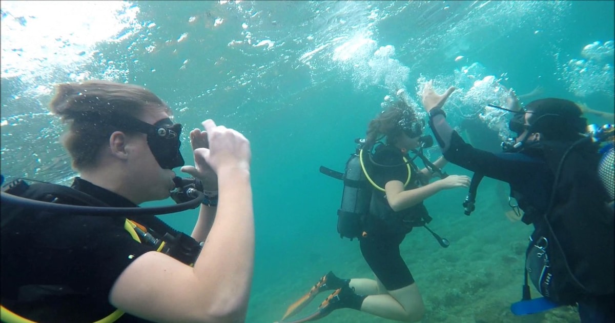 Salou Scuba Diving GetYourGuide