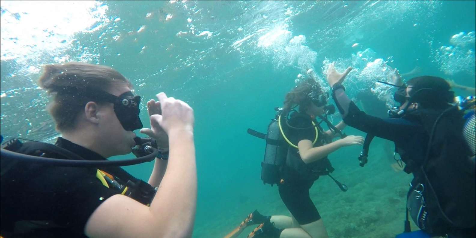 Diving in the Mediterranean Sea: Granada, Spain 