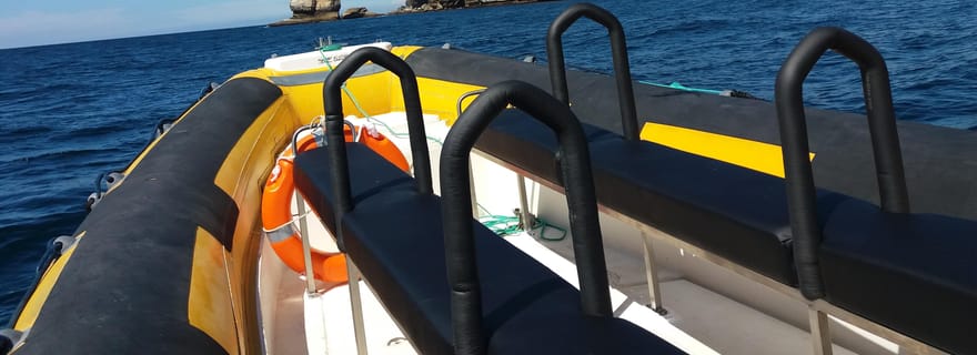 Depuis Peniche : excursion en bateau d'une heure à Cabo Carvoeiro