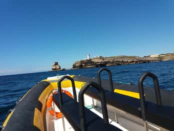 From Peniche: 1-Hour Cabo Carvoeiro Boat Tour