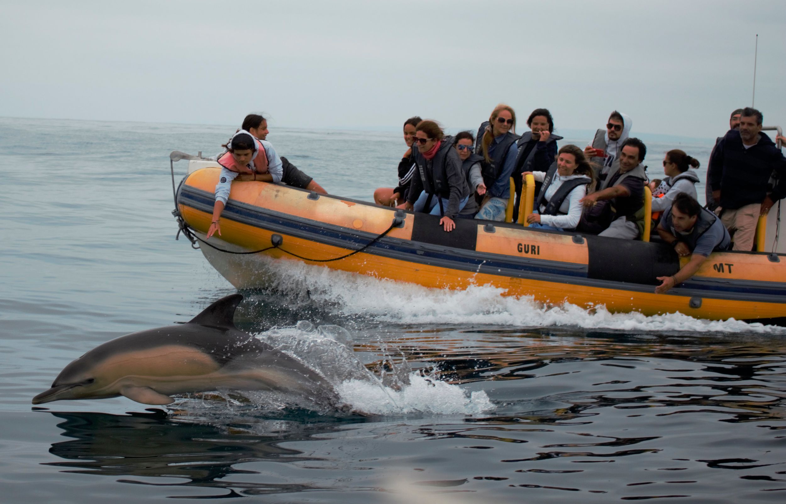 Peniche: Delphin-Route Bootsfahrt