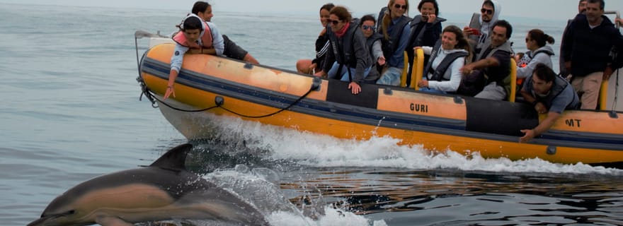 Peniche : Excursion en bateau sur la route des dauphins