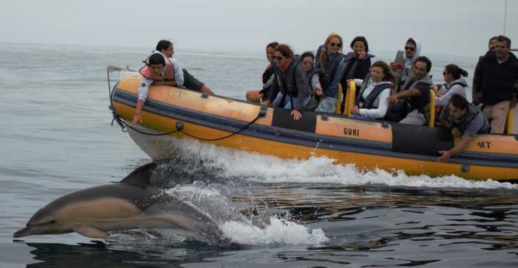 Peniche: Dolphin Route hajókirándulás