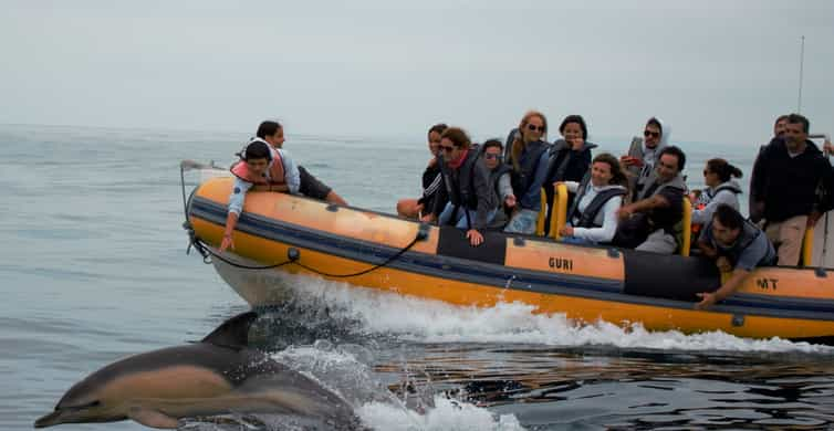 Peniche: Dolphin Route hajókirándulás