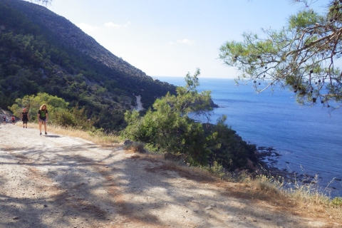 Promenade panoramique d'AkamasPrise en charge à Larnaca