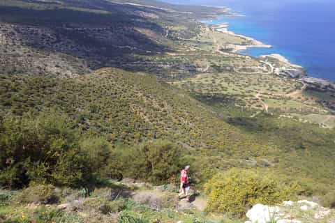 Ab Limassol: Akamas Panorama-Wanderung