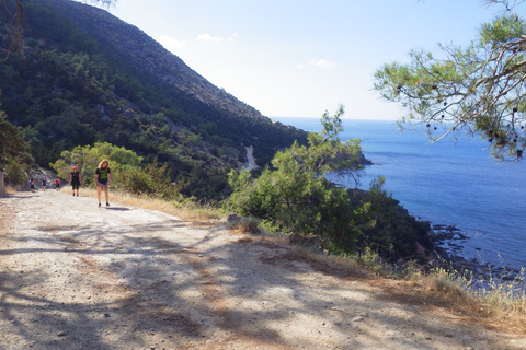 Akamas Panorama Walk (usually Adonis&Aphrodite combo) Akamas Panorama Walk 8-hour from Paphos