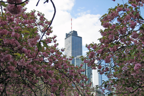 Guided walk between palm trees and skyline Mini expedition through the Frankfurt urban jungle