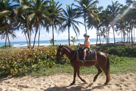 Punta Cana: Horseback Ride to Macao Beach