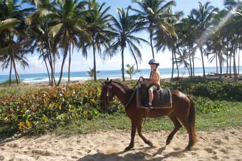 Punta Cana: Horseback Ride to Macao Beach