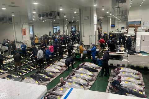Tokyo Morning Tuna Auction Tour – From Standard to Vip Floor VIP: Tuna Auction Observation & Breakfast in Sushidai