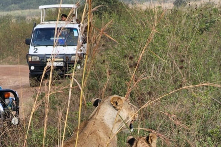 Nairobi: passeio de meio dia no Parque NacionalNairobi: tour privado de meio dia no Parque Nacional