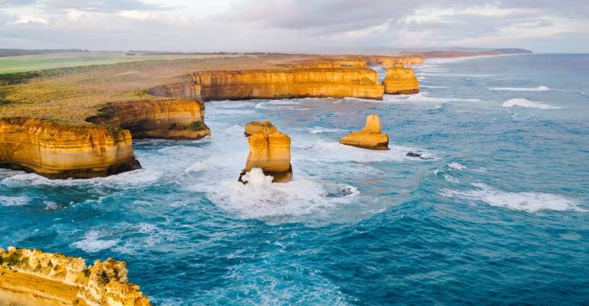 great ocean road group tours