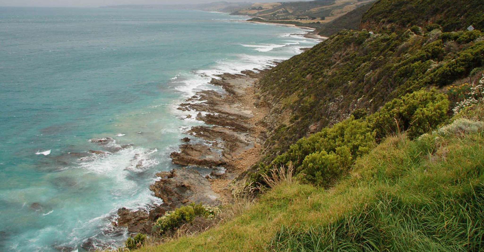 From Melbourne: Great Ocean Road Day Tour photo 5