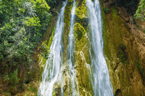 Punta Cana: Tour Samana All Included Cascada Limon whales