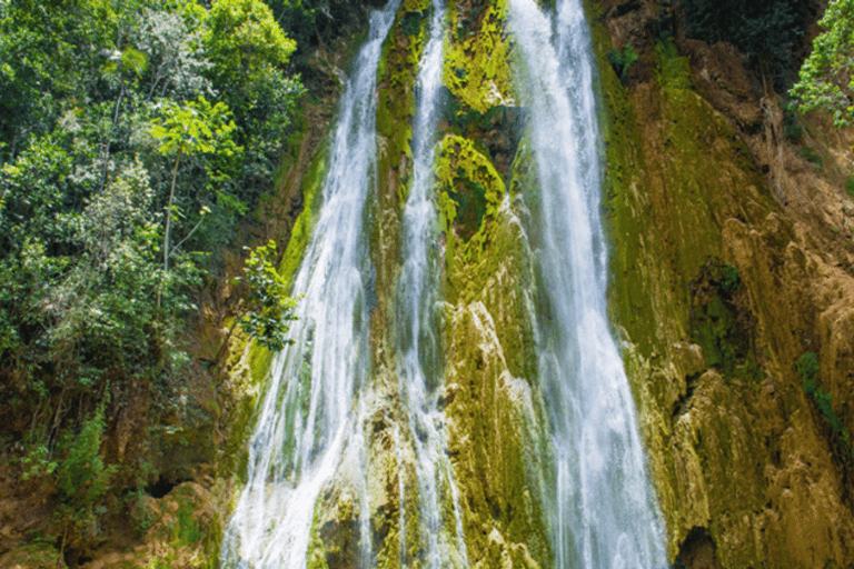 Punta Cana: Tour Samana Tudo Incluído Baleias Cascada Limon