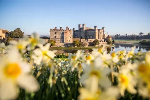 Van Brighton: dagtrip naar Leeds Castle en Canterbury