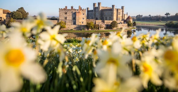 Von Brighton aus: Leeds Castle & Canterbury Ganztagestour