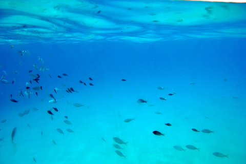 马略卡岛：乘船前往 Dragonera 岛和 Andratx 港帕格拉会面地点