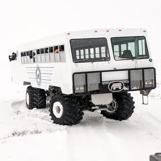 Churchill: Exclusive Tundra Buggy Day Trip