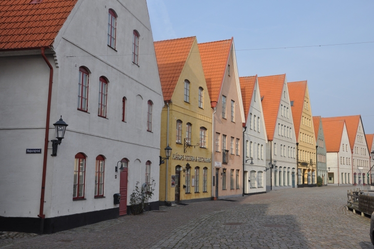 Kopenhagen: Tour over de Sontbrug naar Lund en Malmö
