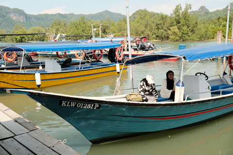 Langkawi : visite privée de 2 heures dans la mangrove avec transfert depuis l&#039;hôtelGroupe de 6 personnes (par bateau)