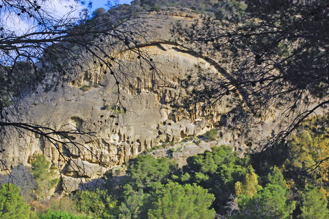 Costa del Sol: Caminito del Rey RondleidingVan Málaga met Ardales