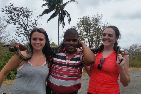 Santa Lucía: tour privado por la isla con itinerario personalizable
