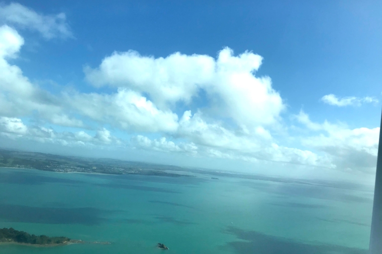 Waiheke Island: 45-minütiger Rundflug durch den Golf von Hauraki und die Stadt