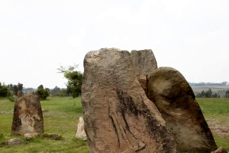 Adadi Mariam Church & Tiya Day Trip