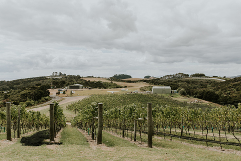 Auckland: degustazione di vini e cibi dell&#039;isola di Waiheke con voliDegustazione di vino e cibo da Auckland