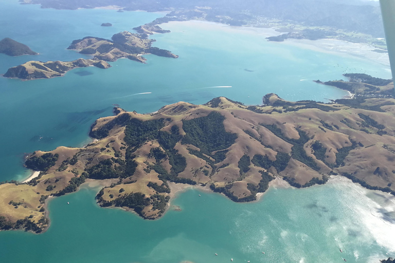 Auckland: degustazione di vini e cibi dell&#039;isola di Waiheke con voliDegustazione di vino e cibo da Auckland