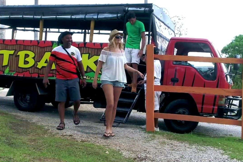 From Punta Cana: Higüey Guided Safari Tour