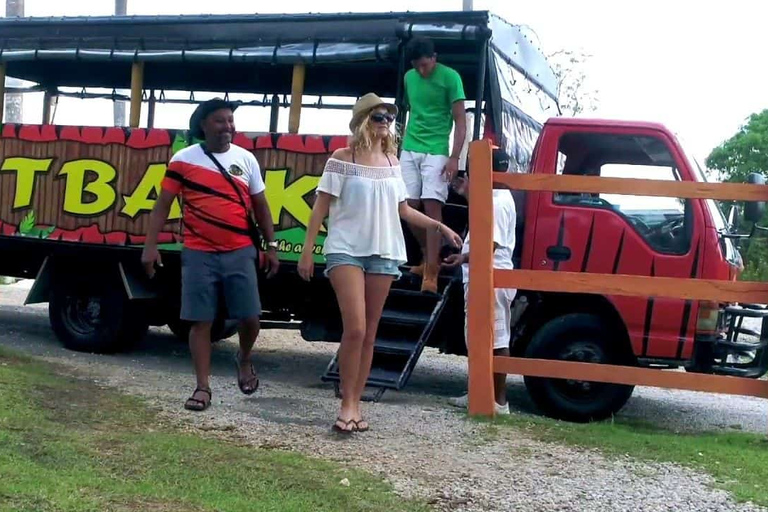 From Punta Cana: Higüey Guided Safari Tour