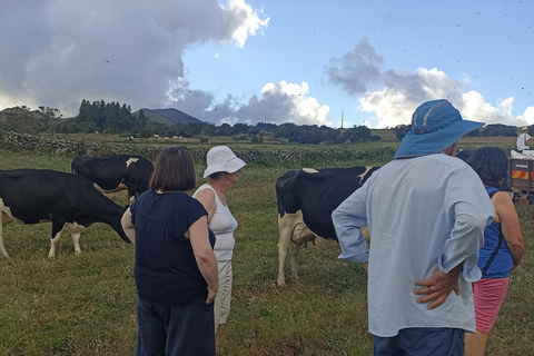 Visite d&#039;une demi-journée au fromage de Sao Jorge