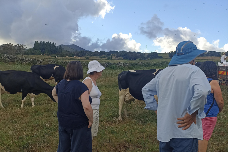 Visite d&#039;une demi-journée au fromage de Sao Jorge