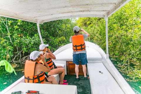 Bacalar: 3-godzinna wycieczka łodzią z pływaniem i napojami