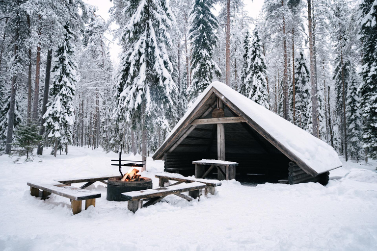 Rovaniemi: Snowshoeing in the Arctic Wilderness