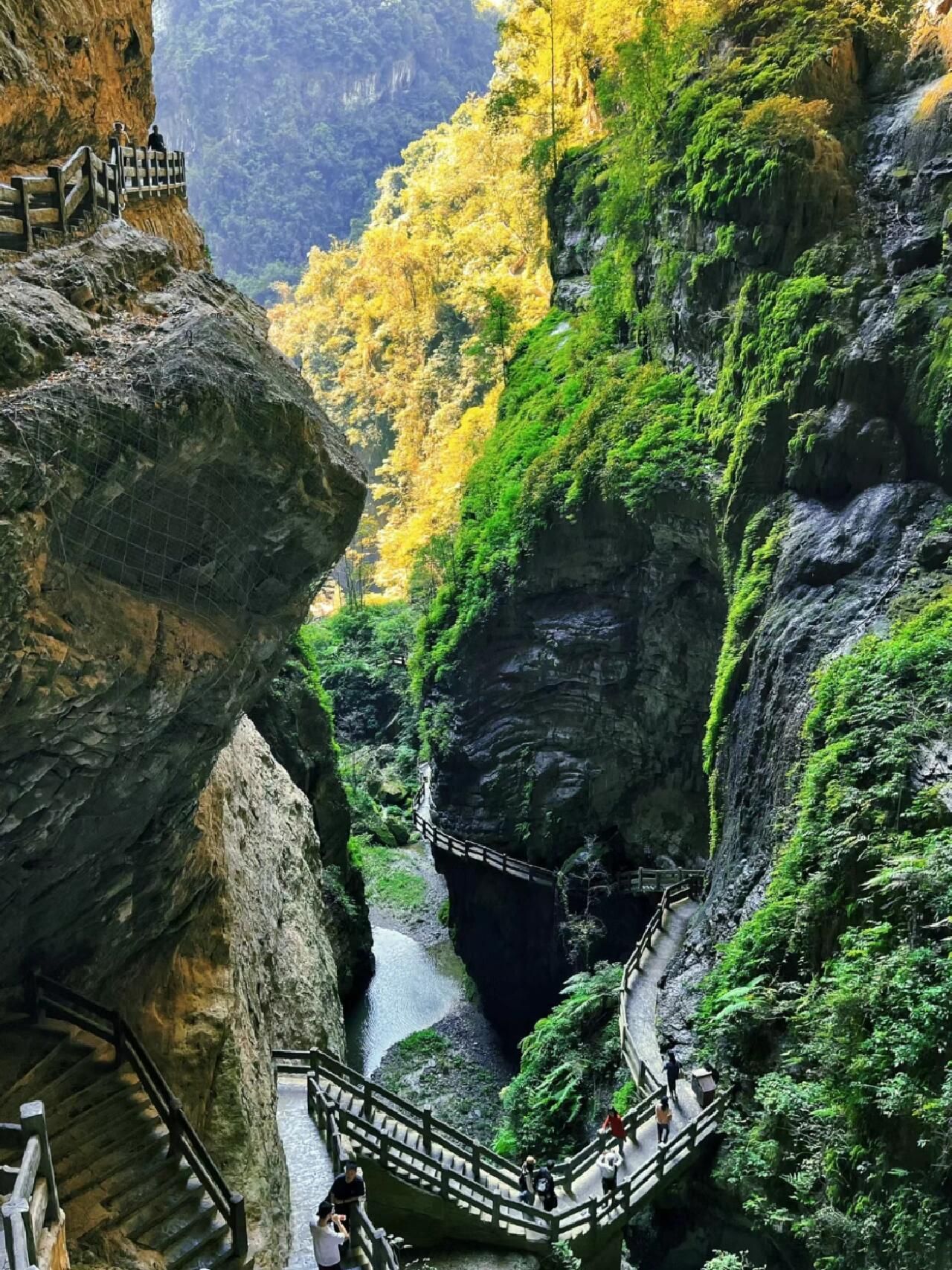 Chongqing: 5-tägige private Tour mit Hotel und Transfers