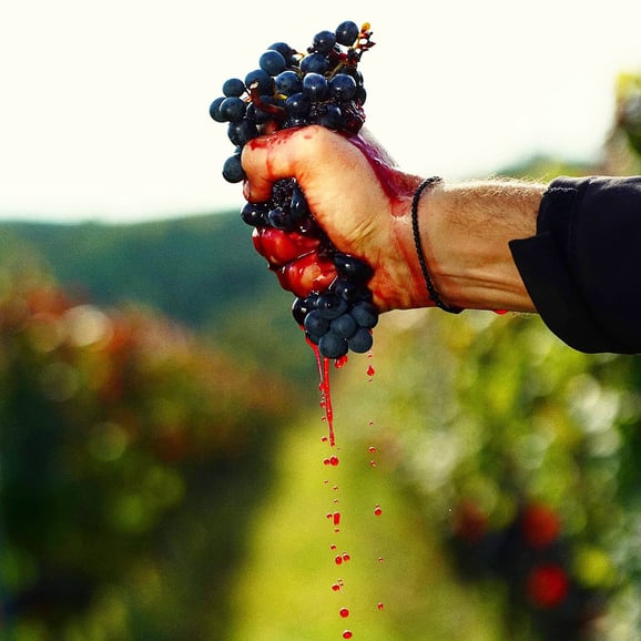 Eger, private Tour zur Heimat von Bull's Blood, mit Weinprobe