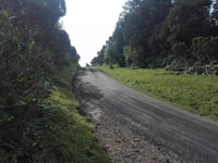 From Ponta Delgada, Vista do Rei to Sete Cidades Guided Trek - Housity