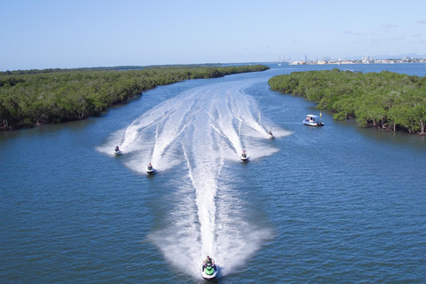 Obserwacja wielorybów dla 2 osób plus 30-minutowa wycieczka skuterem wodnym