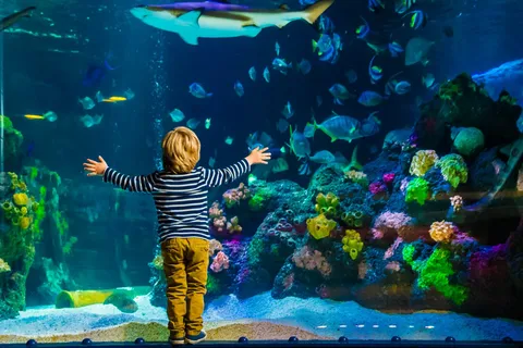 Billets d'entrée au Sea Life