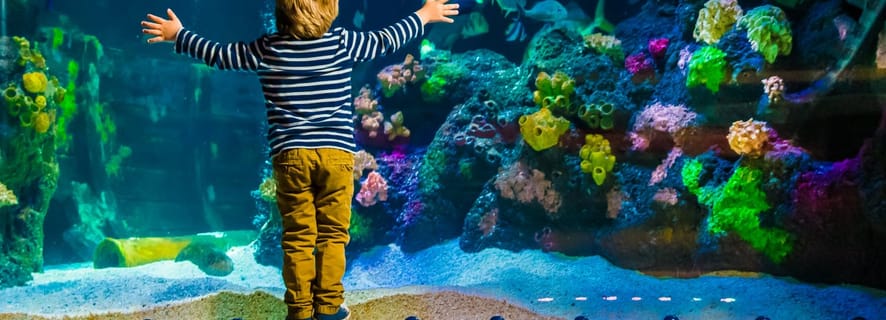 Хельсинки: входные билеты в Sea Life