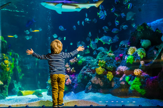 Billets pour les parc à theme à Helsinki